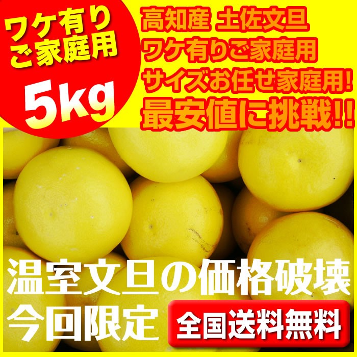 ハウス文旦5キロ入 温室文旦6〜16玉で玉数おまかせ 沖縄本土