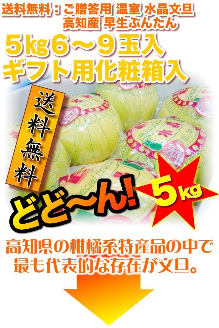 温室 水晶文旦 5kg 6〜9玉入 ご贈答用 ブンタン高知産早生ぶんたん