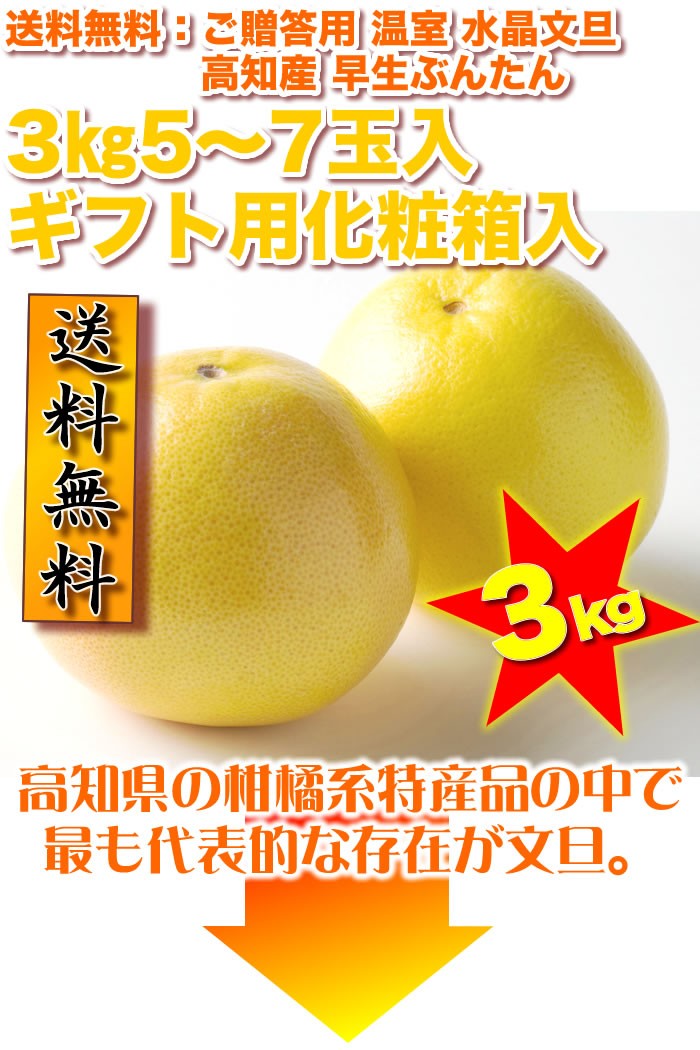 温室 水晶文旦 3kg 5〜7玉入 ご贈答用 高級ブンタン高知産 沖縄県