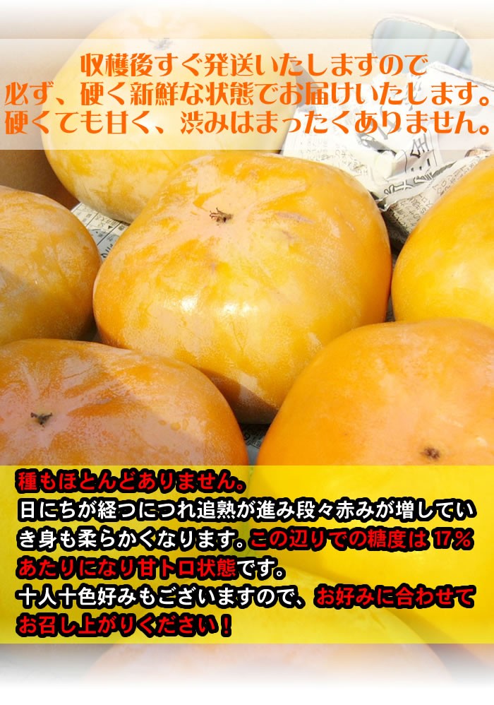 次郎柿 約８ｋｇ 甘柿 贈答用 大玉 次郎柿 高知県産 送料無料 土佐の甘かき １０月末頃より発送予定 :jirogift8kg:産直龍馬くん -  通販 - Yahoo!ショッピング