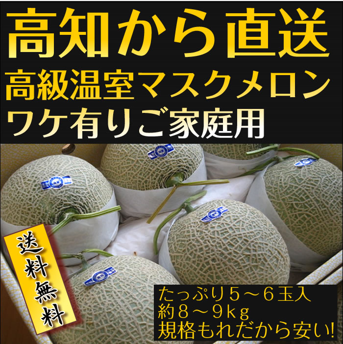 マスクメロン　高知産　５〜６玉入約　８〜９ｋｇ　高級温室　ワケ有りご家庭用