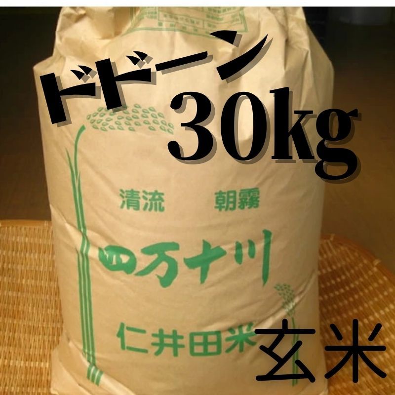 高知県 四万十町産 仁井田米 玄米 約３０ｋｇ 新米(玄米）本州四国九州