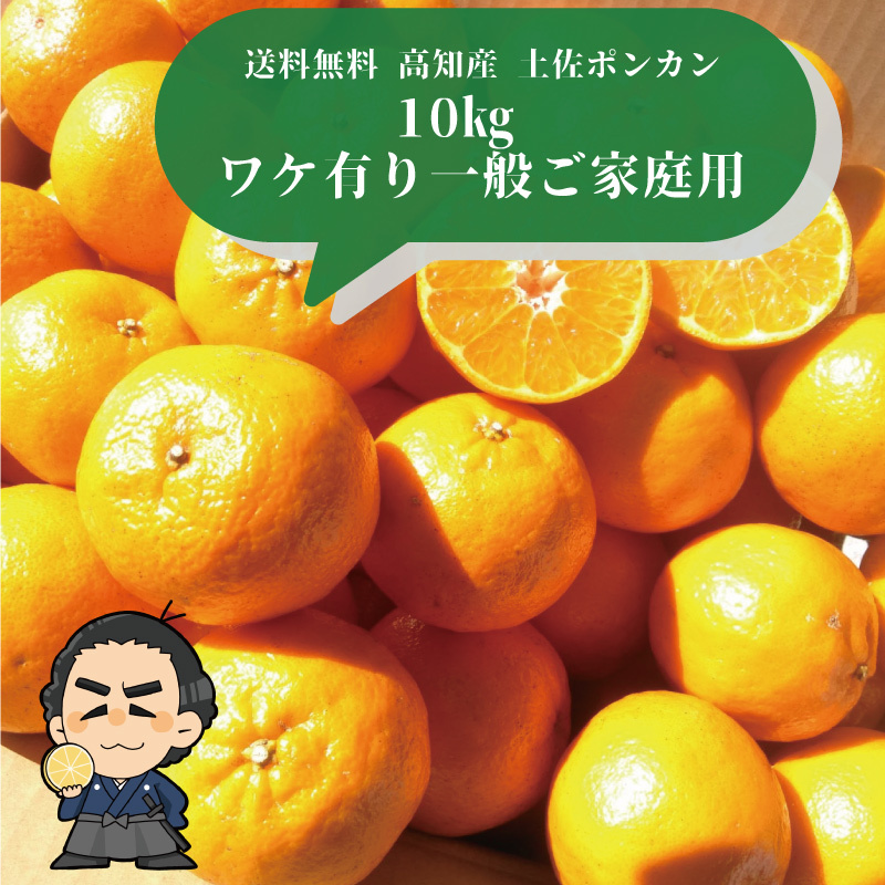 送料無料 店舗 ポンカン10kg ご家庭用サイズおまかせ 高知産土佐ポンカン 果物