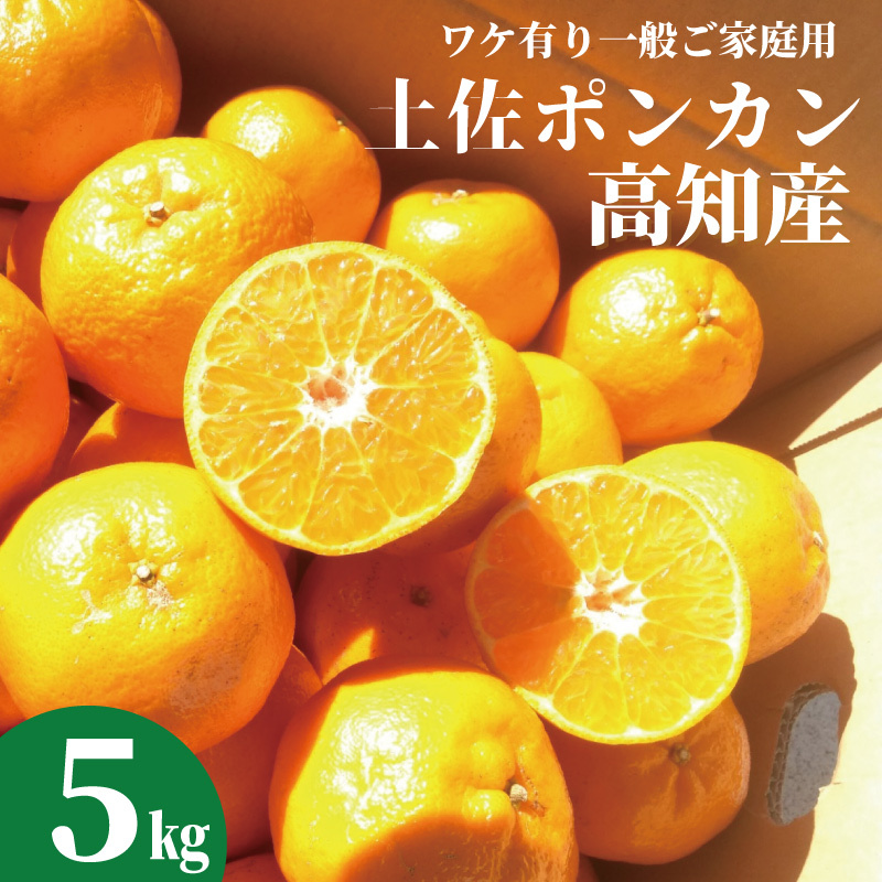 ポンカン５ｋｇ　ご家庭用　土佐ポンカン ぽんかん　高知産 １月中旬以降発送商品