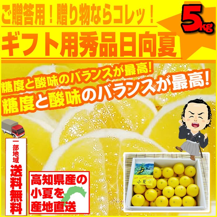 小夏５kgご贈答用 高知産土佐小夏 日向夏 ニューサマーオレンジ