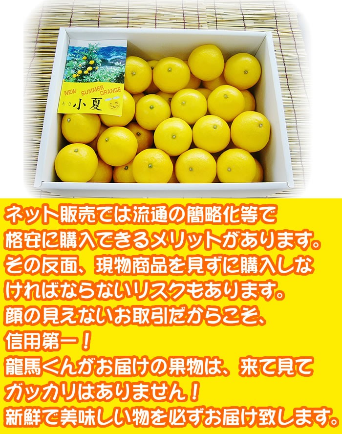 小夏５kgご贈答用 高知産土佐小夏 日向夏 ニューサマーオレンジ