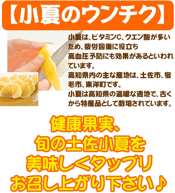 小夏５kgご贈答用 高知産土佐小夏 日向夏 ニューサマーオレンジ
