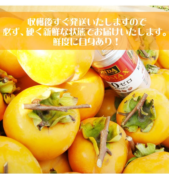【日本製】 大和柿 渋柿 約20kg 干しかき つるし柿 干し柿 高知産 枝付 果物