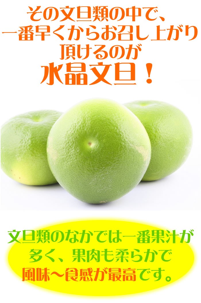 水晶文旦 送料無料 約１０ｋｇご家庭用 温室 水晶 文旦 訳あり サイズや個数はお任せ ハウスブンタン 高知県産 早生ぶんたん