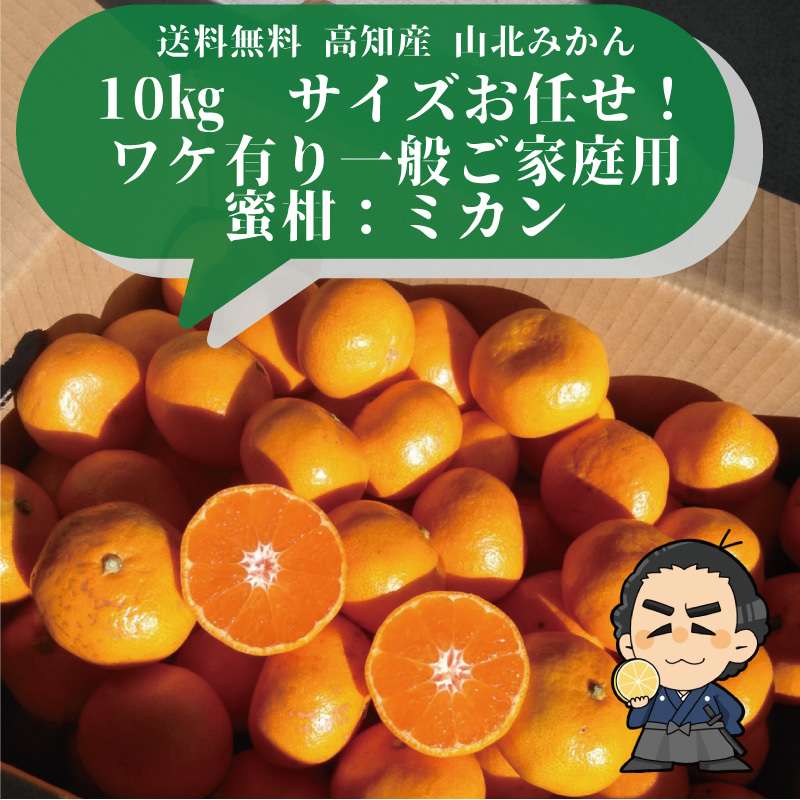 145ブランドみかん 高知産 山北みかん10kg 特産 産地直送 蜜柑 送料無料 ☆山北みかん 10kg 高知のミカン ご家庭用蜜柑 : 産直龍馬くん