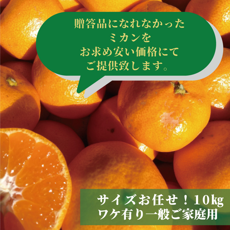 ☆山北みかん 10kg 高知のミカン ご家庭用蜜柑 : 産直龍馬くん