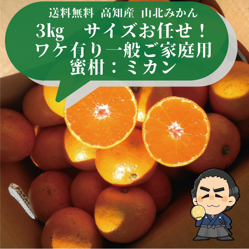 高知産 山北みかん３ｋｇサイズお任せ！ ワケ有り一般ご家庭用蜜柑