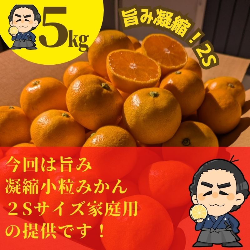 山北みかん 5kg ご家庭用蜜柑 2Sサイズ 小粒みかん 高知産 : 産直龍馬