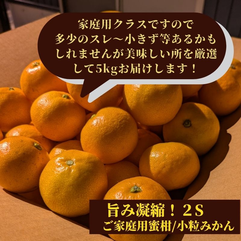 山北みかん 5kg ご家庭用蜜柑 2Sサイズ 小粒みかん 高知産 : 産直龍馬