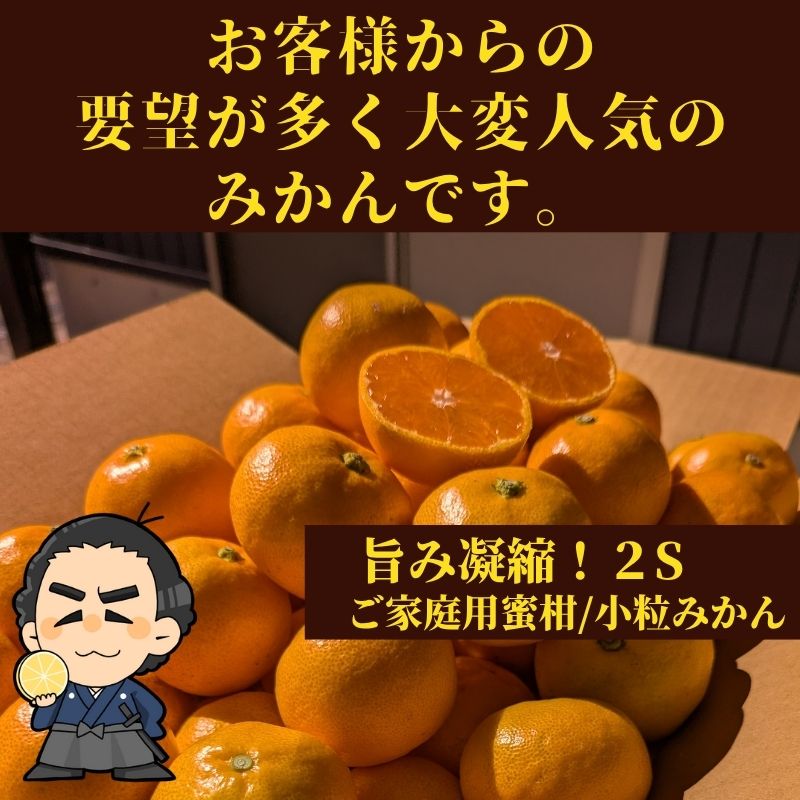 うーたろう 水晶文旦3kg 小粒山北みかん5kg 山北みかん 5kg ご家庭用蜜柑 2Sサイズ 小粒みかん 高知産 : 産直龍馬