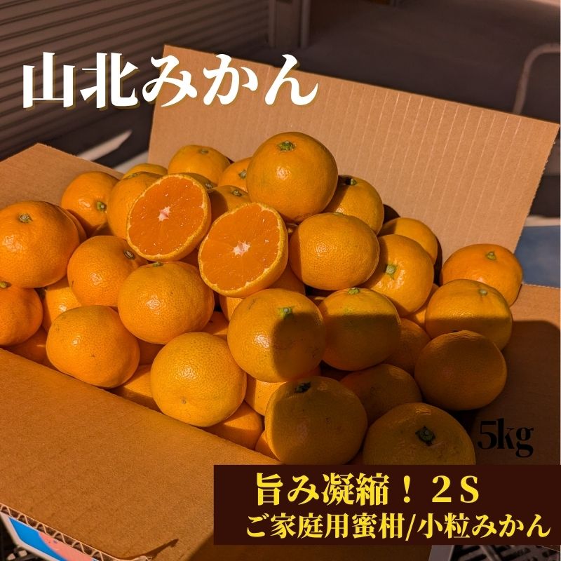山北みかん2Sサイズ 10kg ご家庭用 小粒みかん 高知産 : 産直龍馬くん