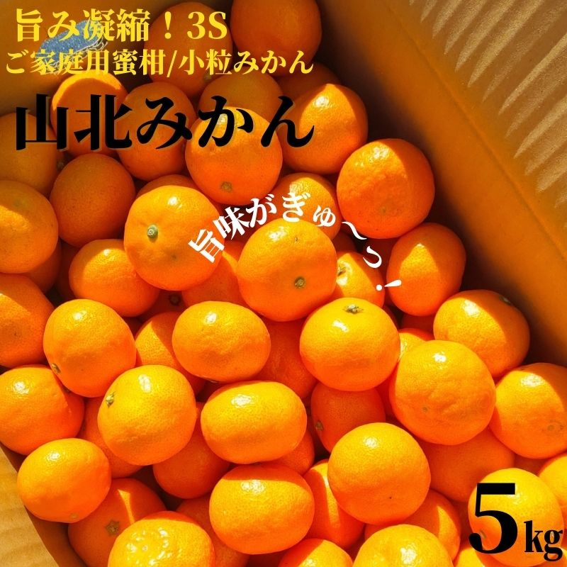 ☆【送料無料】小粒みかん高知産 山北みかん3Sサイズ5kgご家庭用蜜柑