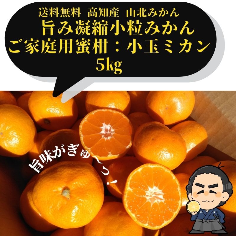 ☆【送料無料】小粒みかん高知産 山北みかん3Sサイズ5kgご家庭用蜜柑