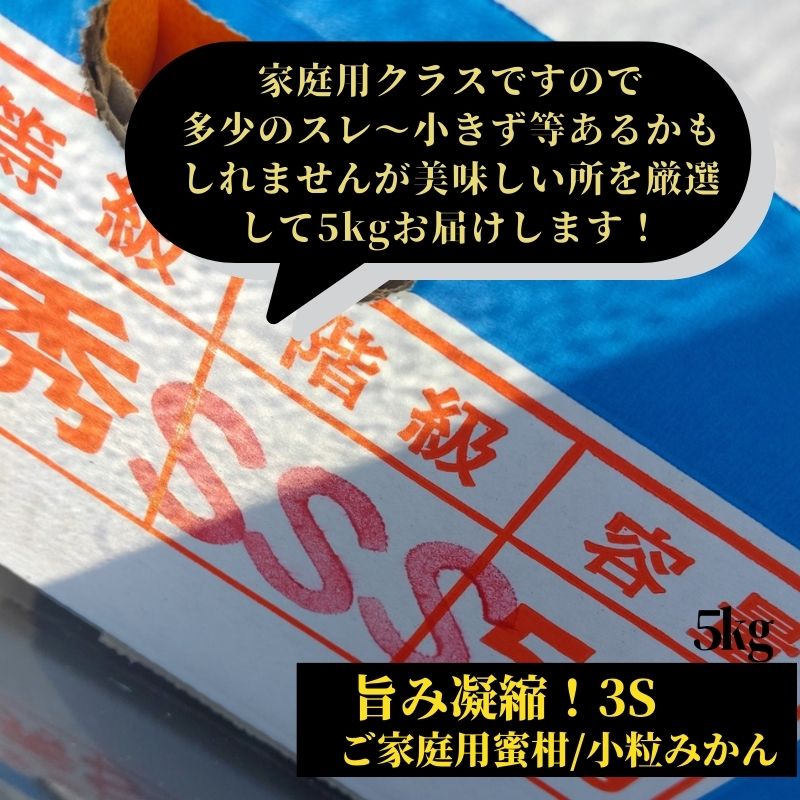 送料無料】小粒みかん高知産 山北みかん3Sサイズ5kgご家庭用蜜柑