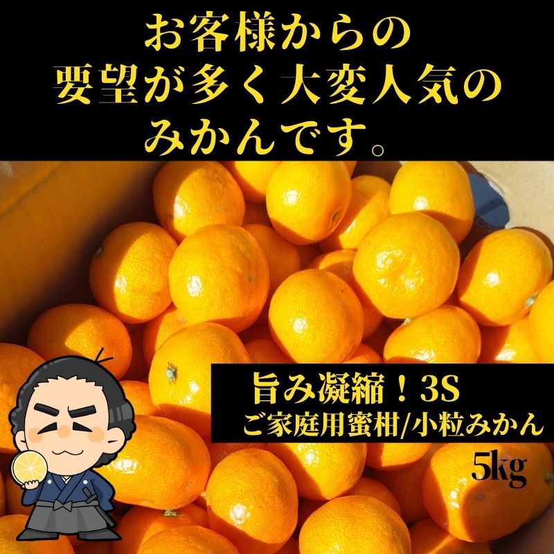 ☆【送料無料】小粒みかん高知産 山北みかん3Sサイズ5kgご家庭用蜜柑