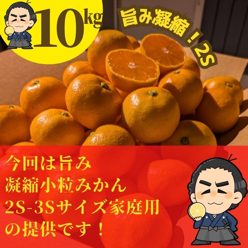 山北みかん2Sサイズ 10kg ご家庭用 小粒みかん 高知産 : 産直龍馬くん