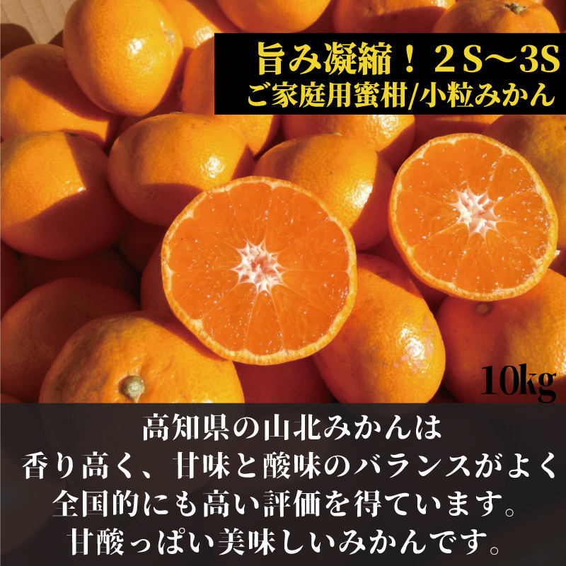 山北みかん2Sサイズ 10kg ご家庭用 小粒みかん 高知産 : 産直龍馬くん