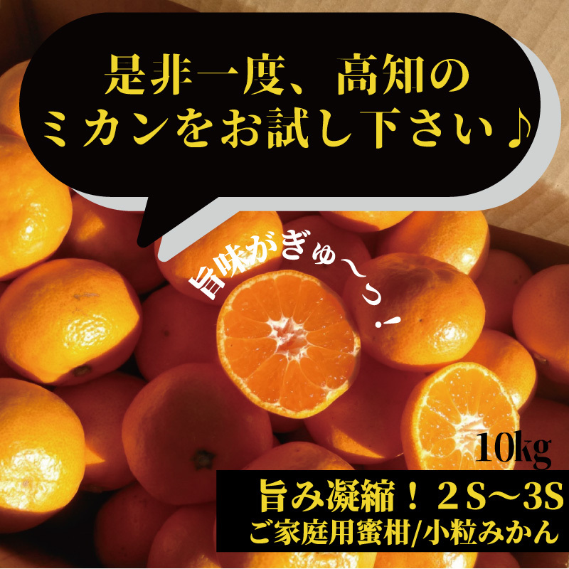 山北みかん2Sサイズ 10kg ご家庭用 小粒みかん 高知産 : 産直龍馬くん