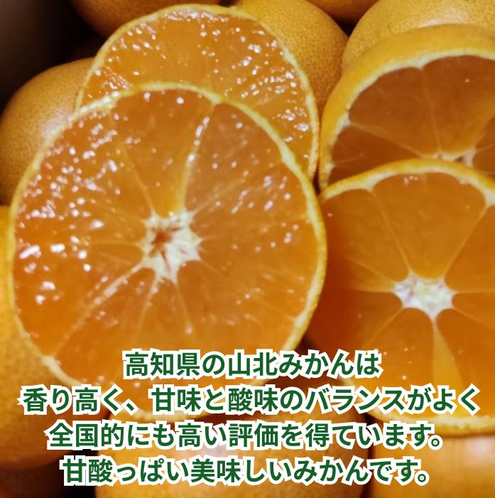 【送料無料】高知産 山北みかん Lサイズ限定5kg 沖縄本土と北海道は