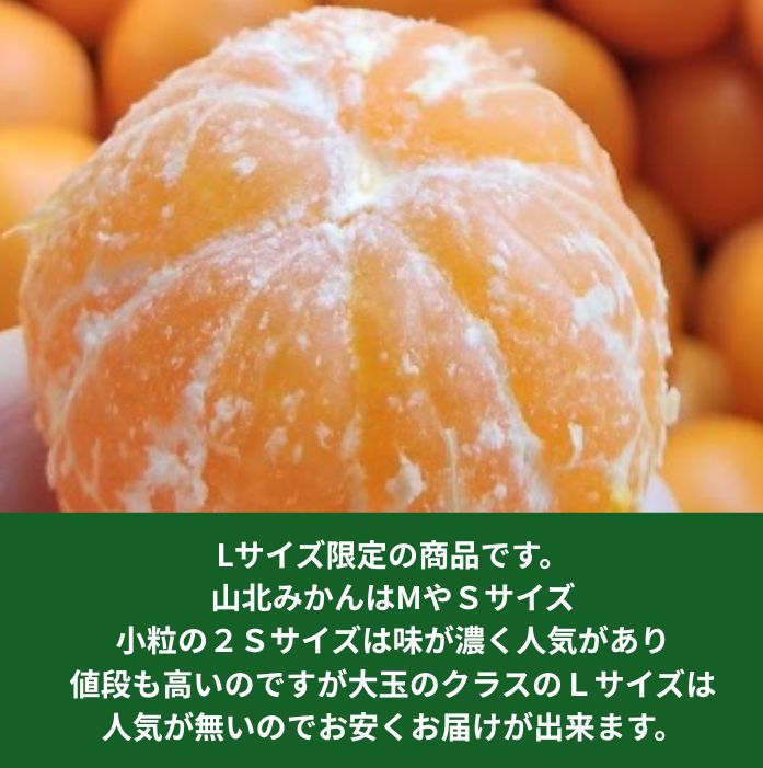 【送料無料】高知産 山北みかん Lサイズ限定5kg 沖縄本土と北海道は