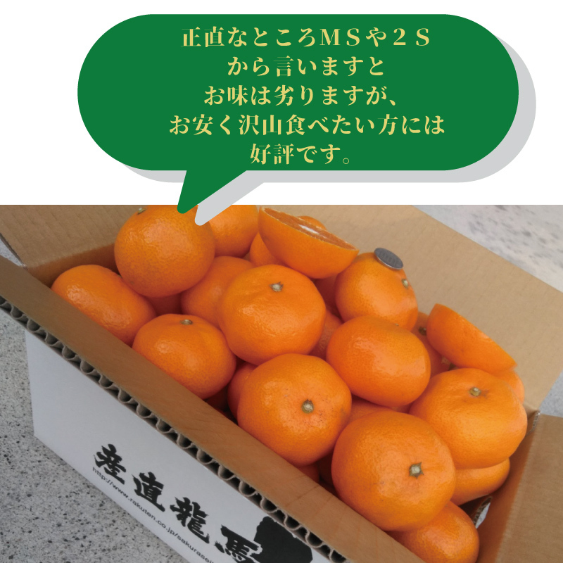 送料無料】高知産 山北みかん Lサイズ限定5ｋｇ 沖縄本土と北海道は