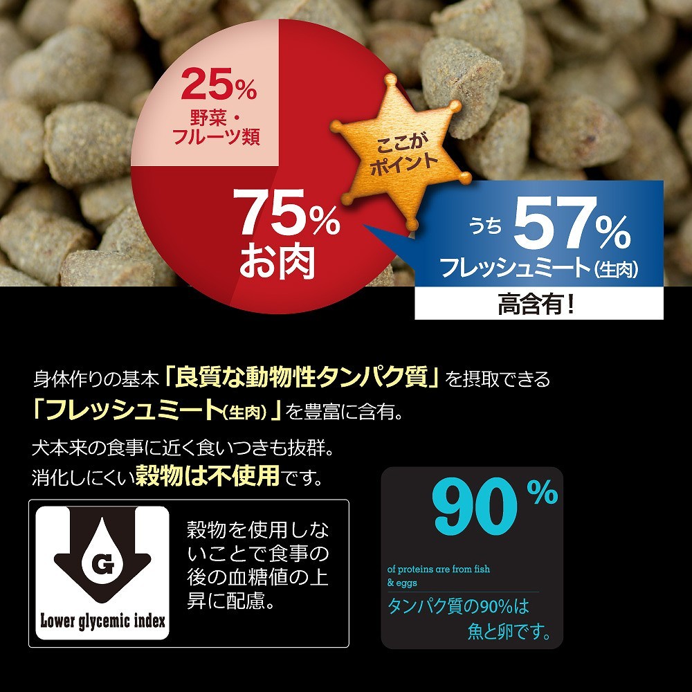 オーブンベークド トラディション グレインフリーフィッシュ大粒BP