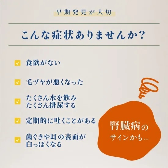 VetSolution腎臓＆シュウ酸塩サポート ウェット犬用150g【ベッツ