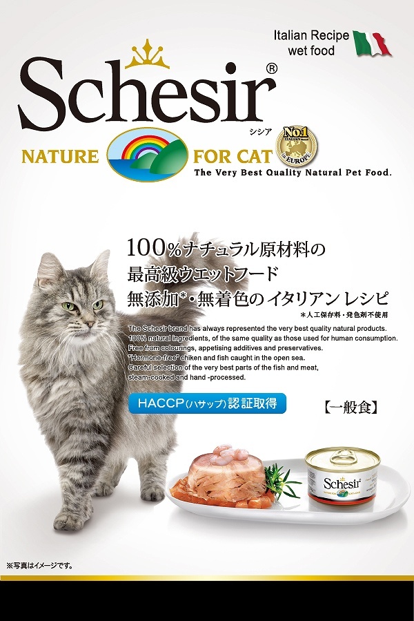 Schesir シシアキャットフード ツナ＆エビ 50ｇ×6缶（マルチパック