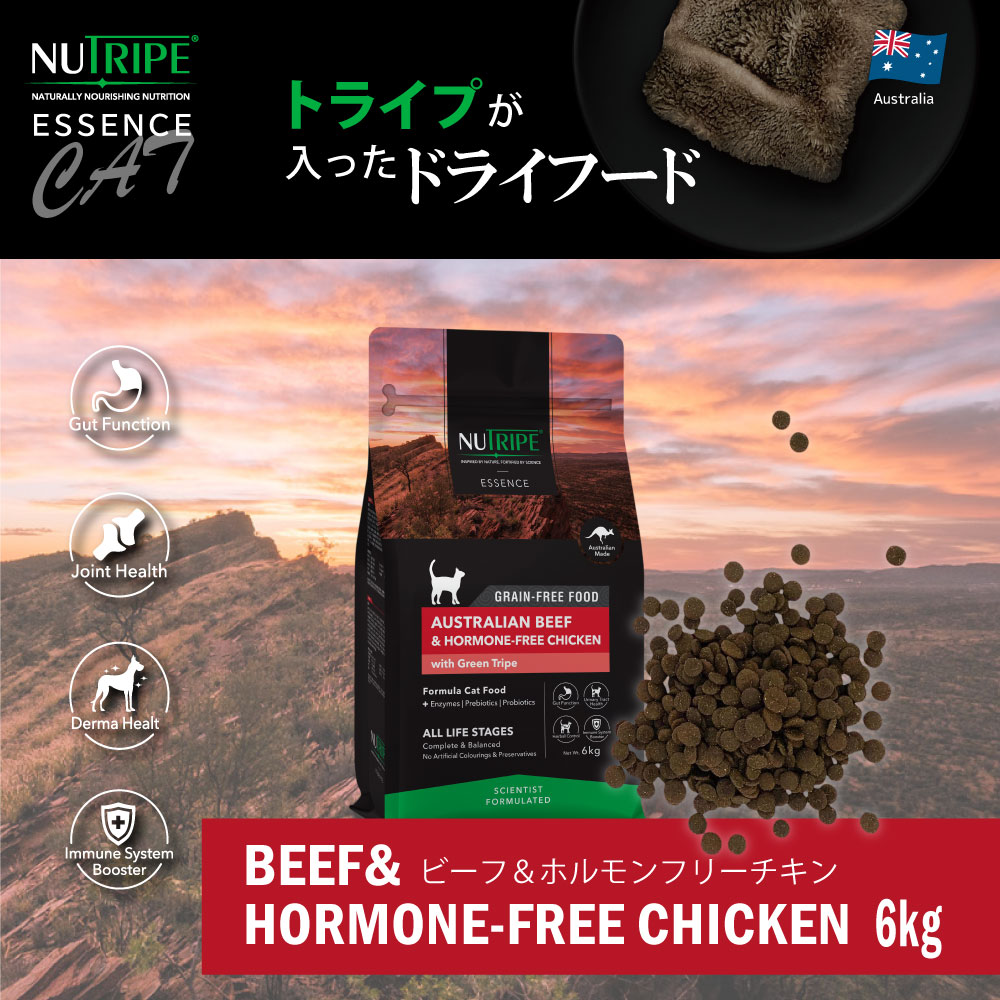NUTRIPE（ニュートライプ） 【アウトレット賞味期限2026年11月30日