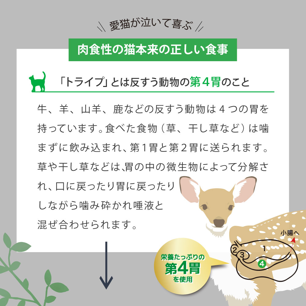 NUTRIPE（ニュートライプ） 【期限2026年11月30日】ニュートライプ