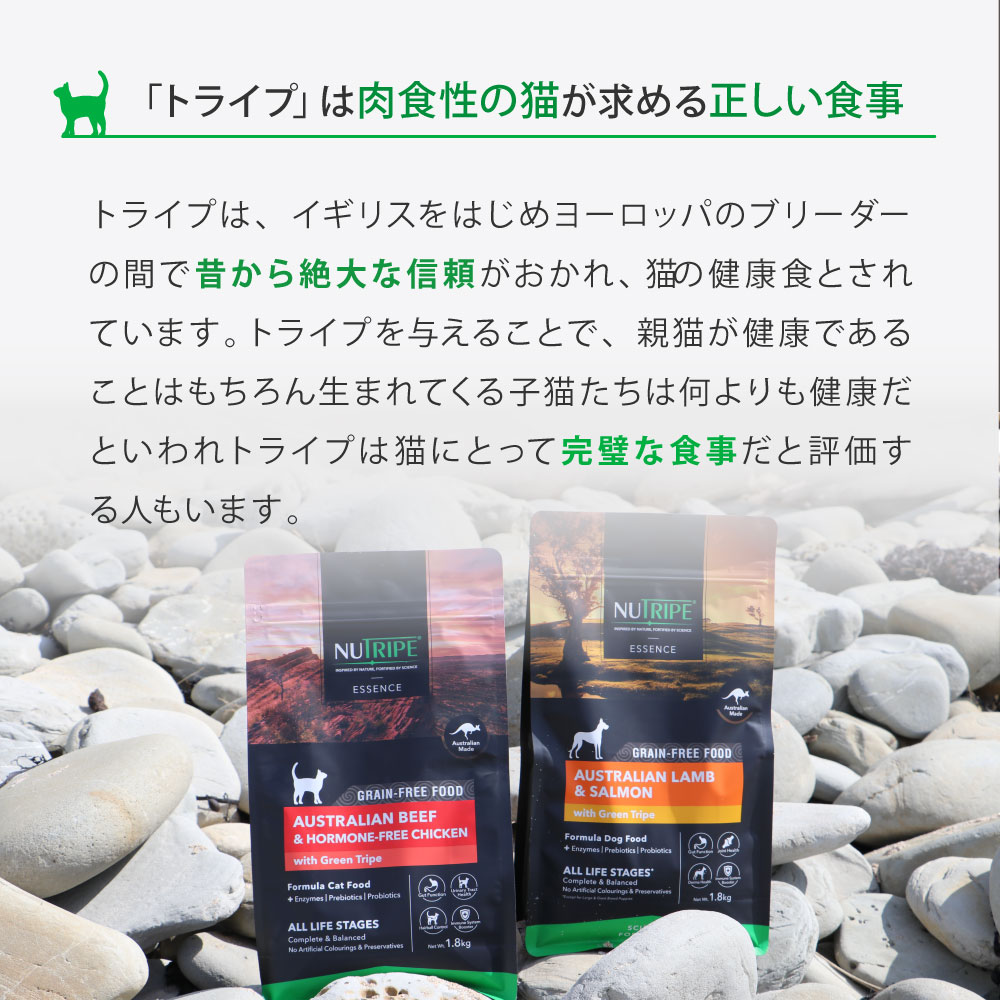 NUTRIPE（ニュートライプ） 【アウトレット賞味期限2026年11月30日