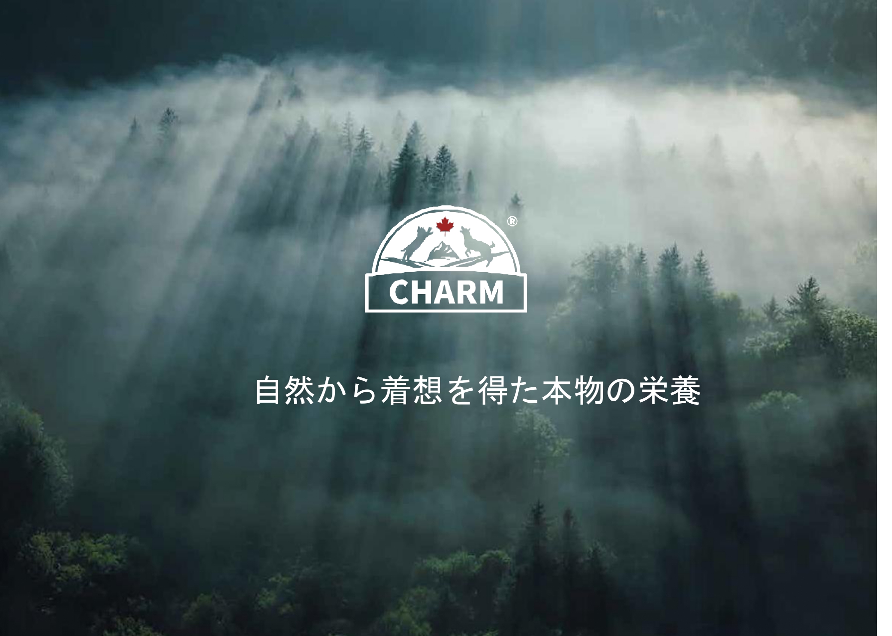 CHARM チャーム ノースアトランティックオーシャンフィッシュ