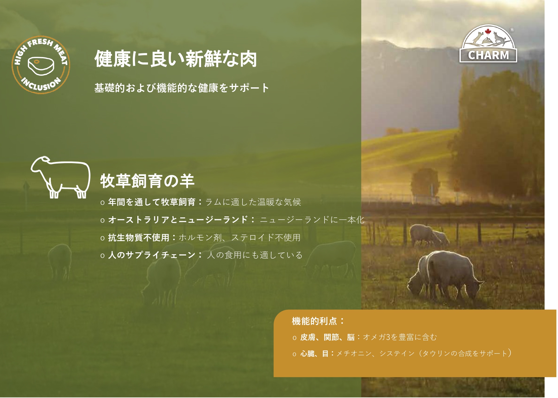 賞味期限2026年12月19日】CHARM チャーム グラスフェッドラム