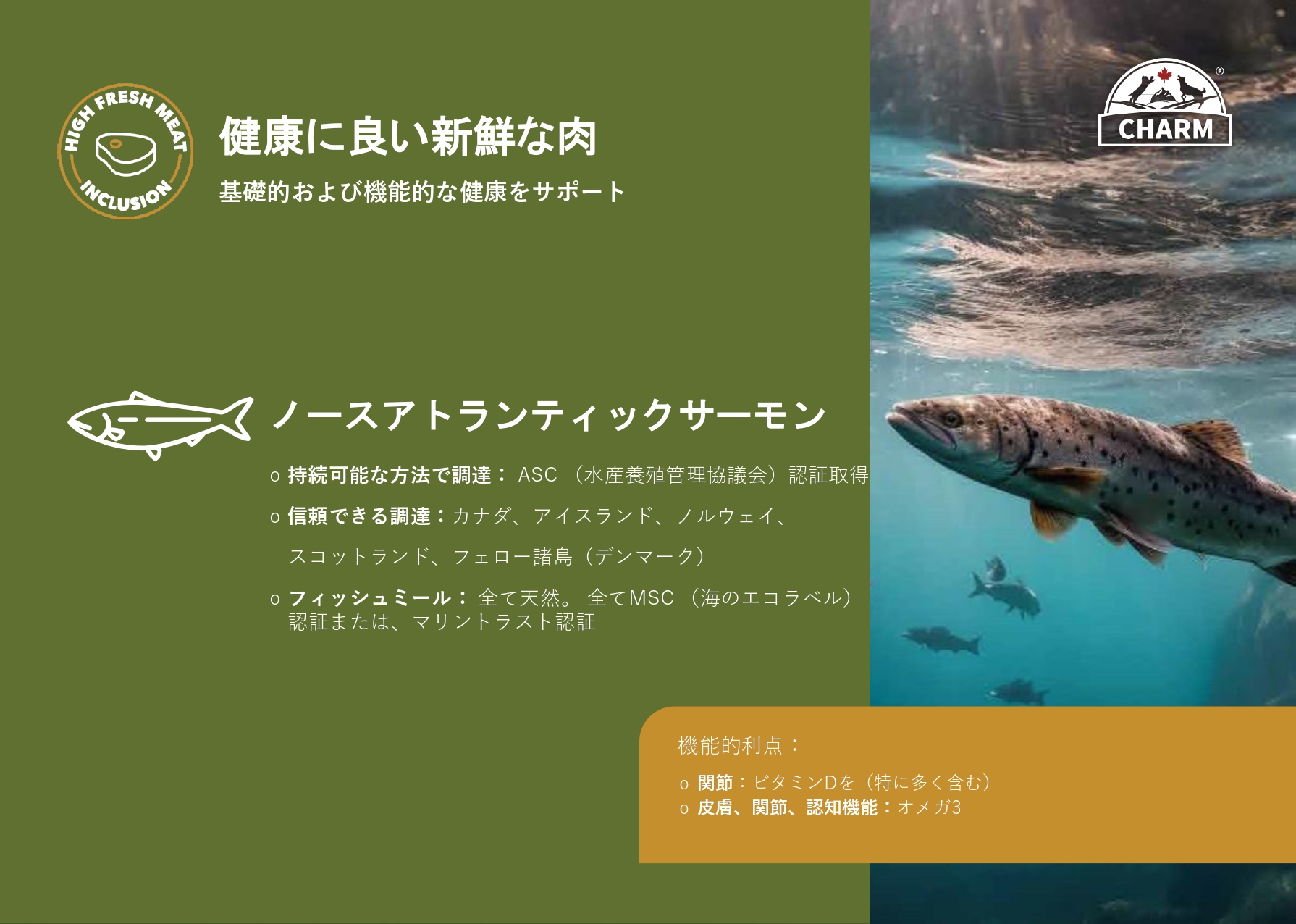 CHARM チャーム ノースアトランティックオーシャンフィッシュ