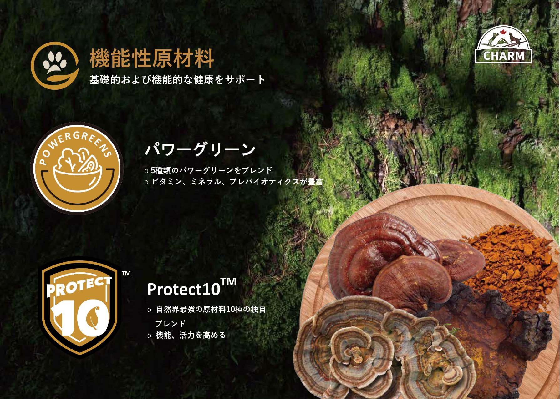 CHARM チャーム ノースアトランティックオーシャンフィッシュ