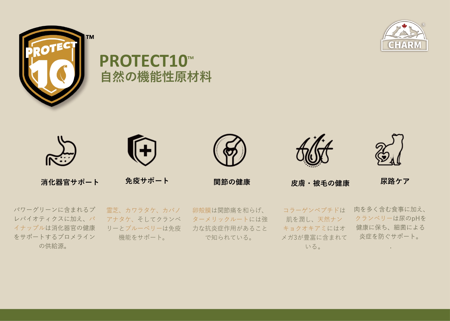 CHARM チャーム ノースアトランティックオーシャンフィッシュ