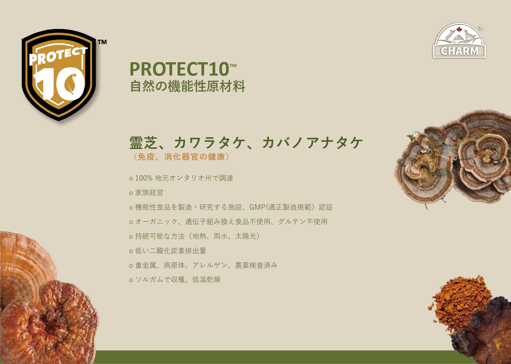 CHARM チャーム ノースアトランティックオーシャンフィッシュ