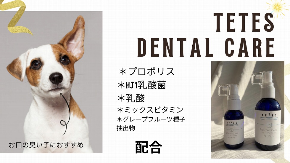 DENTAL POWDER 50包 猫犬用デンタルケア Amazon.co.jp: 犬猫生活 犬猫兼用 デンタルふりかけ 30包×2袋