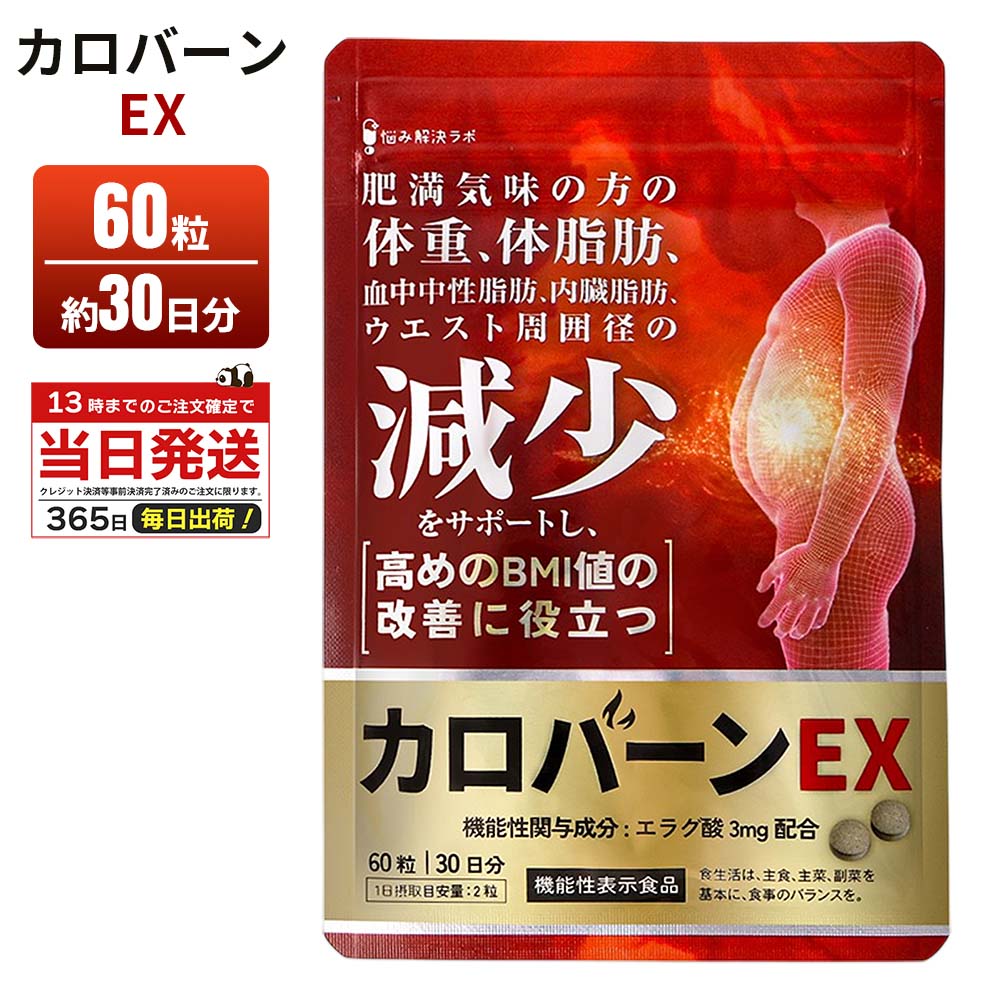 古口 様⭐️９袋⭐️未開封⭐カロバーンEX 糖脂抑制源EX ナイシボル 血糖値 カロバーンEX サプリメント 栄養補助食品 ダイエットサポート