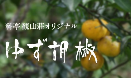 ゆず 楽天市場】北川村ゆず王国 つぶつぶゆず 480g 【同一規格12本