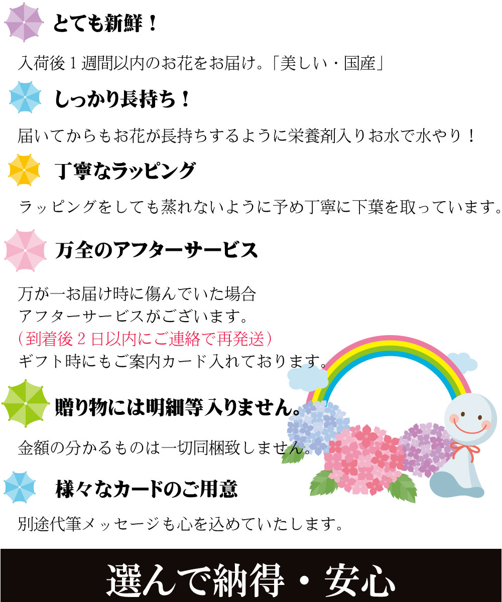 あじさい