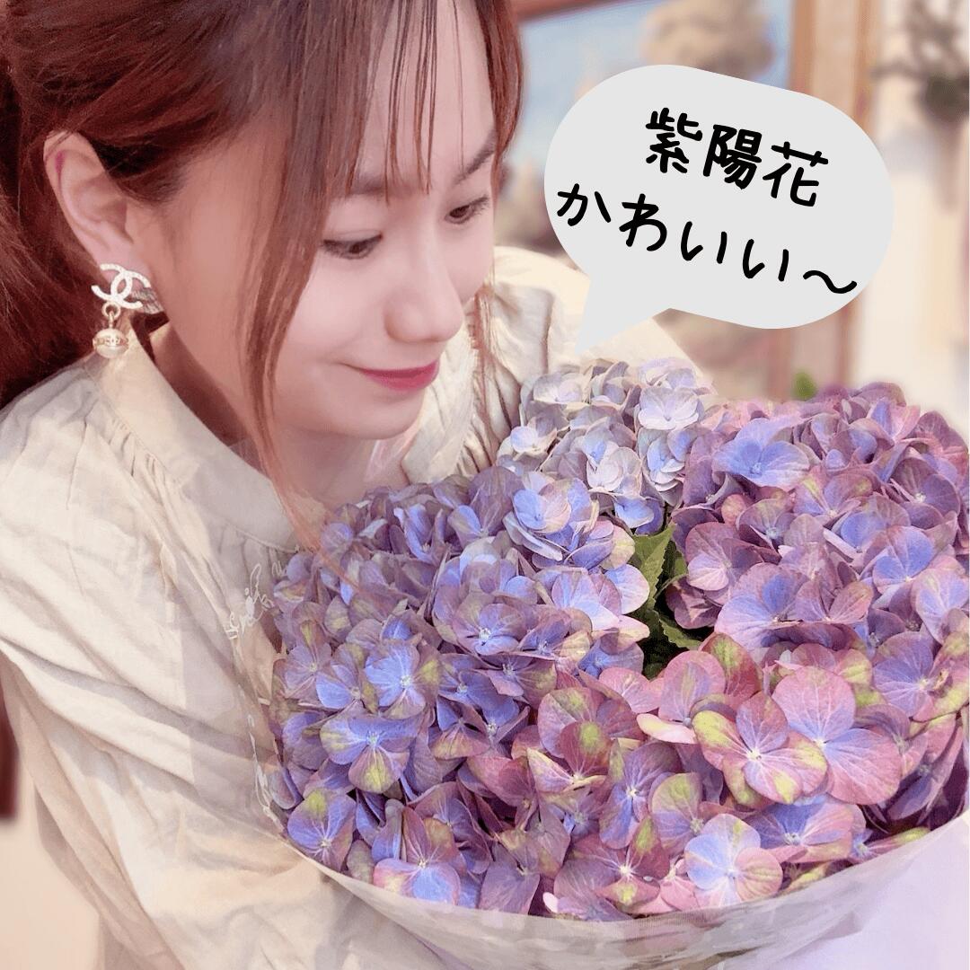 あじさい
