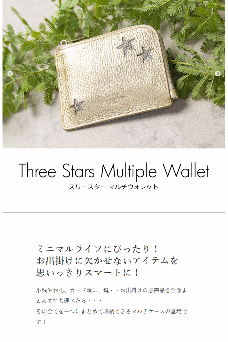 Amazon | [サロンドアルファード] 定期入れ パスケース キー