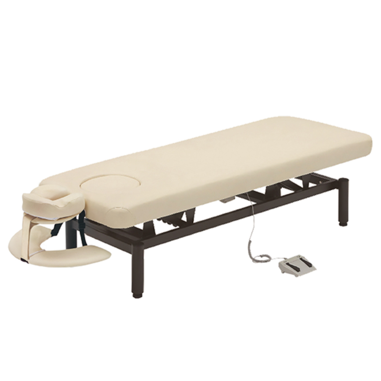 ネチュラ　Electric flat memory FV223 電動昇降ベッド 電動フラットベッド ネチュラElectric Flat Memory 全2色（ブラウン