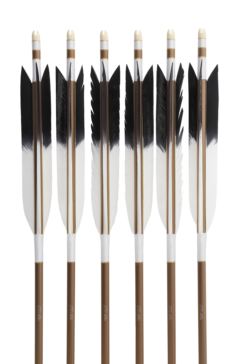 1913シャフト ターキー KF-1 先黒 6種類 6本組 イーストン 黒 茶 シャフト 推奨弓力 10〜13kg 送料無料 【D-1763】 弓道 矢 弓具 近的矢 EASTON 山武弓具店 | ブランド登録なし | 10